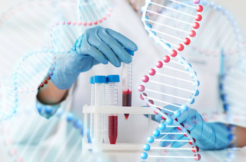 Comment fonctionne un test ADN ? Explication en détails !