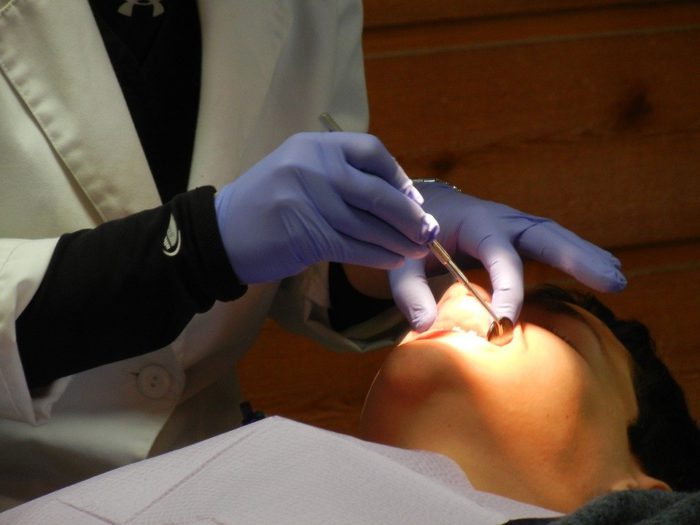 Orthodontiste, Dentiste, Accolades, Dentaire